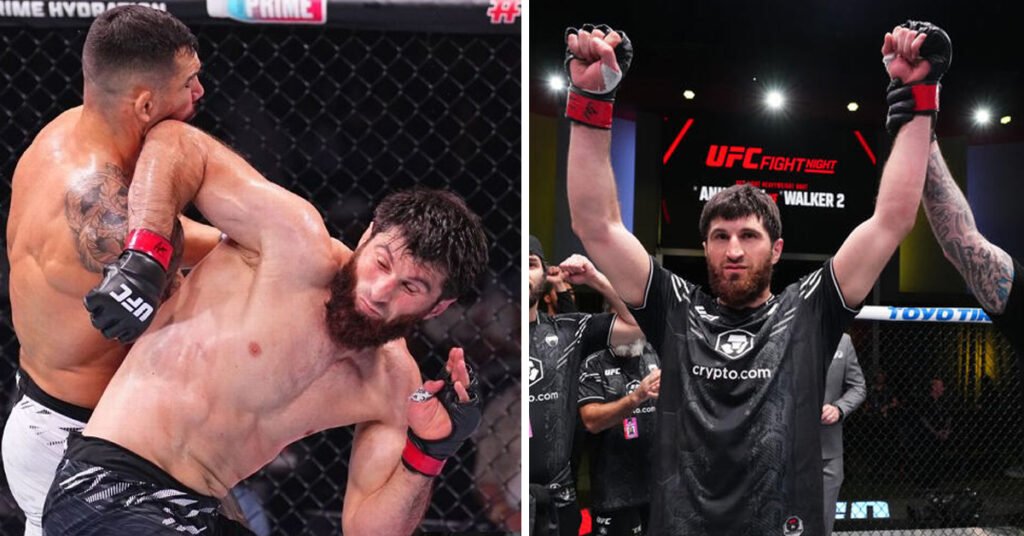 Pereira vs. Ankalaev - The X-Factor That Could Decide the UFC 313 Main Event